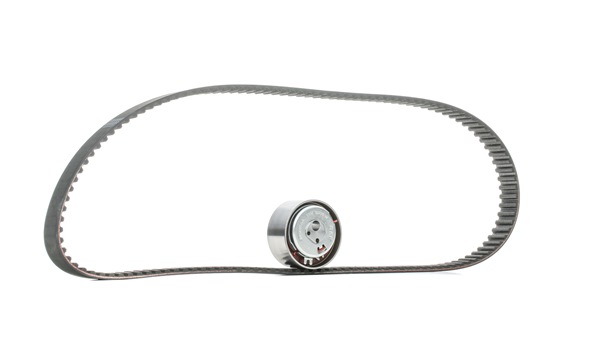 SKF VKMA 02206 Kit cinghia di distribuzione LANCIA MUSA (350) 78 CV Benzina/Gasauto (GPL) costo