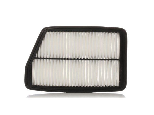 RIDEX 8A0766: Vzduchový filtr