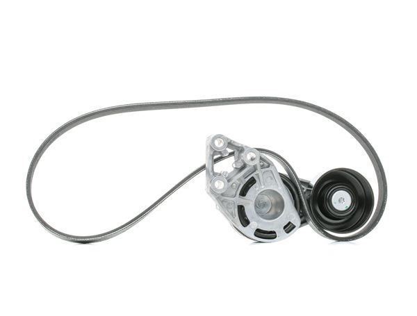 SKF VKMA 31036 Poly V-riem set AUDI A2 (8Z0) 90 Pk Diesel kosten