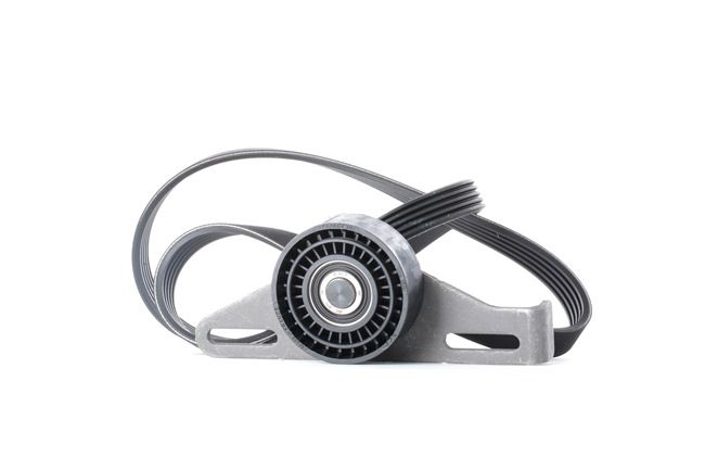SKF VKMA 36091: Set curea transmisie cu caneluri