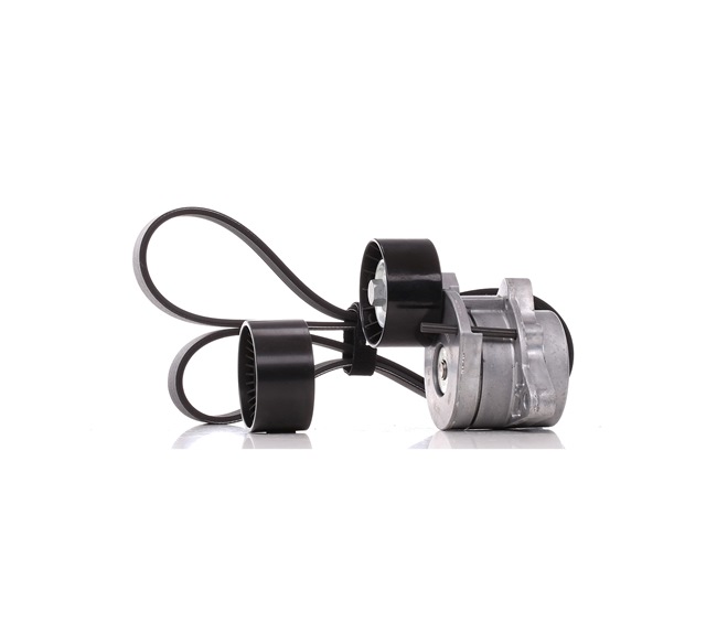 SKF VKMA 36104 Keilrippenriemensatz RENAULT TRAFIC 2 Bus (JL) 135 PS Diesel Kosten