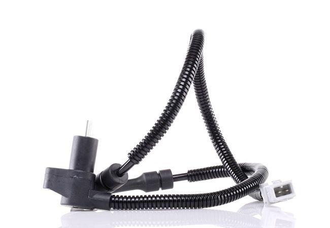 RIDEX 412W0473 Sensore ABS FIAT Scudo Station Wagon (220_) 109 CV Diesel costo