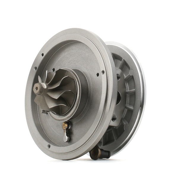 RIDEX 4973C0006 Turbinos kartridžas FORD C-MAX (DM2) 115 AG dyzelinas kaina