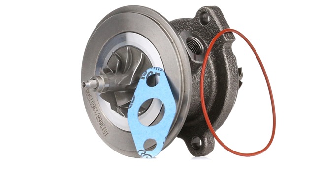 RIDEX 4973C0013: Rumpfgruppe, Lader mit Dichtung