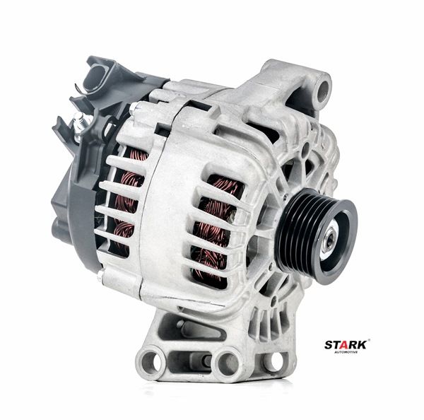 STARK SKGN-0320265: Alternator 120A