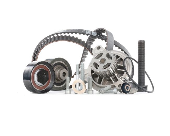 SKF VKMC 01244: Kit de distribution + pompe à eau Nbr. dents: 141, avec joints