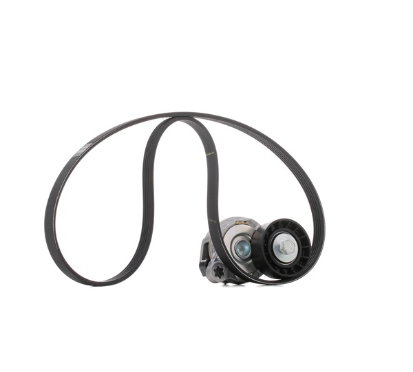 SKF VKMA 36244: Set curea transmisie cu caneluri