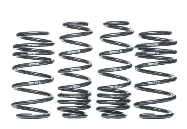 H&R 29162-6: Madallusjouset Performance Lowering Springs