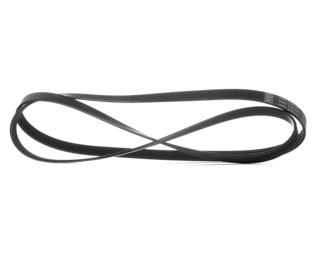 SKF VKMV 6PK2155: Curea transmisie cu caneluri 2155mm, Numar nervuri: 6