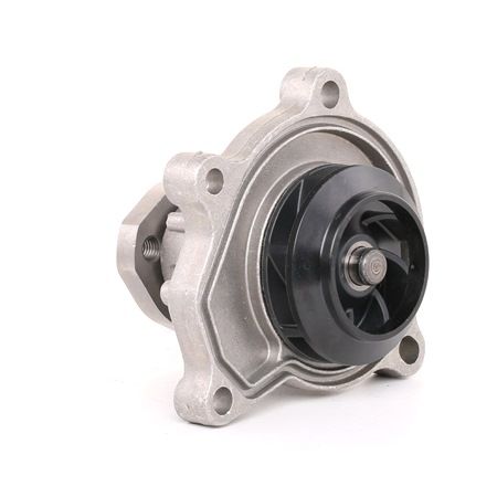 SKF VKPC 81301: Wasserpumpe mit Dichtungen