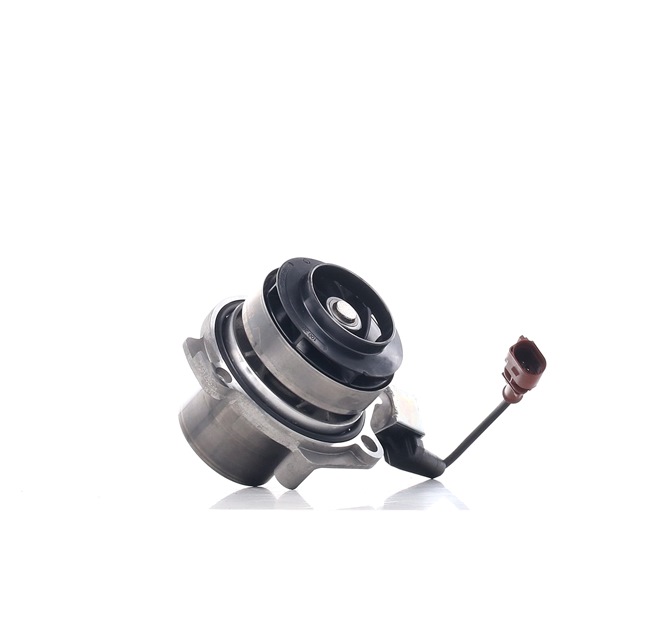 DOLZ A255V: Pompe à eau Pompe à eau commutable