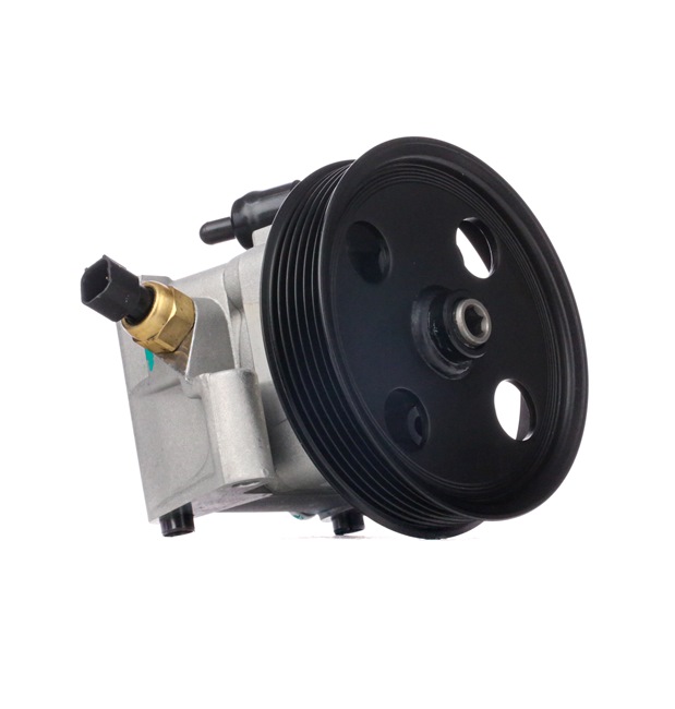 JP GROUP 1545104300 Servopumpe FORD FOCUS 3 Turnier 170 hk Bensin hva koster
