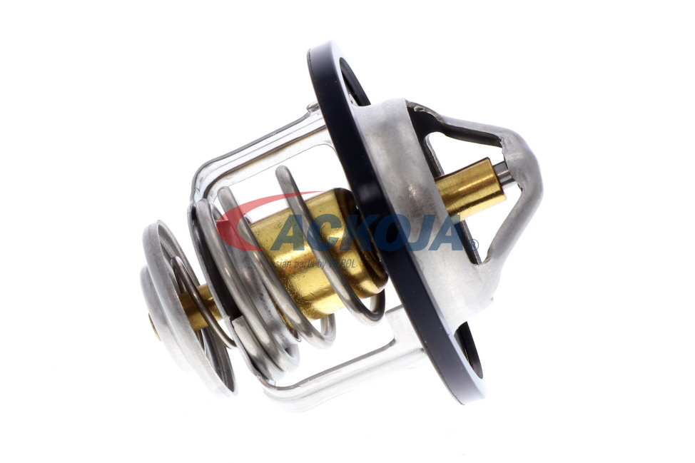 ACKOJA A38-99-0003: Thermostat d'eau EXPERT KITS + 82°C, avec joint d'étanchéite