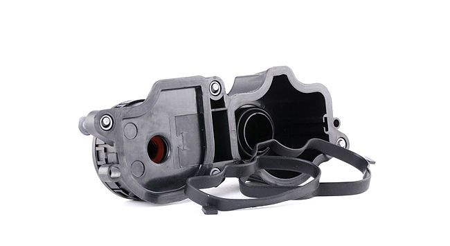 ESEN SKV 31SKV069 Kurbelgehäuseentlüftung BMW 7 (E65, E66, E67) 730 Ld 231 PS Diesel