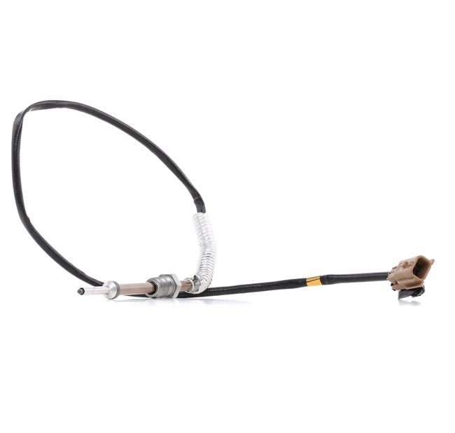 NGK 95738 Devējs, Izplūdes gāzu temperatūra RENAULT SCENIC 3 (JZ0/1) 95 ZS Dīzelis cena