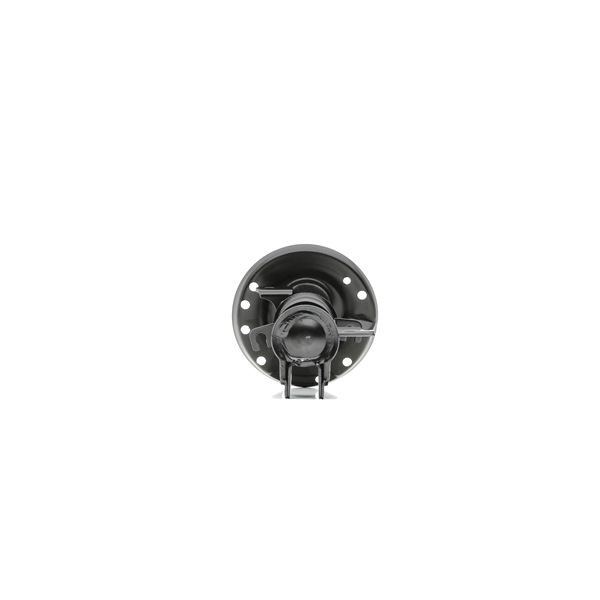 SACHS 316 979: Amortisseur Essieu avant gauche, Pression de gaz, Jambe de suspension