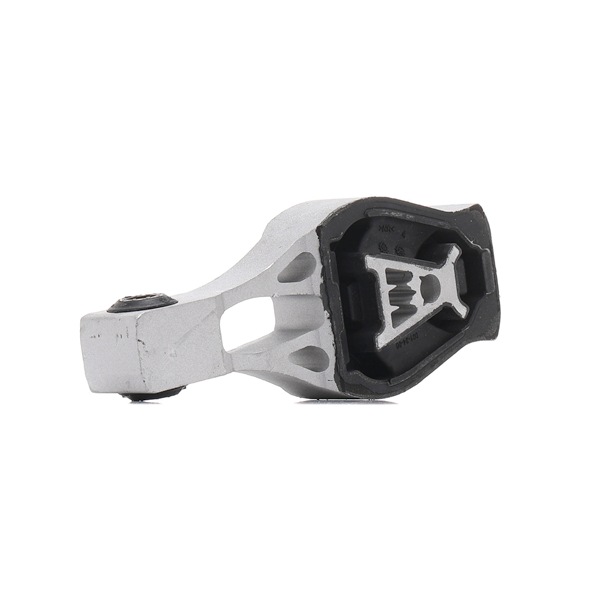 QUINTON HAZELL EM4829: Suport motor