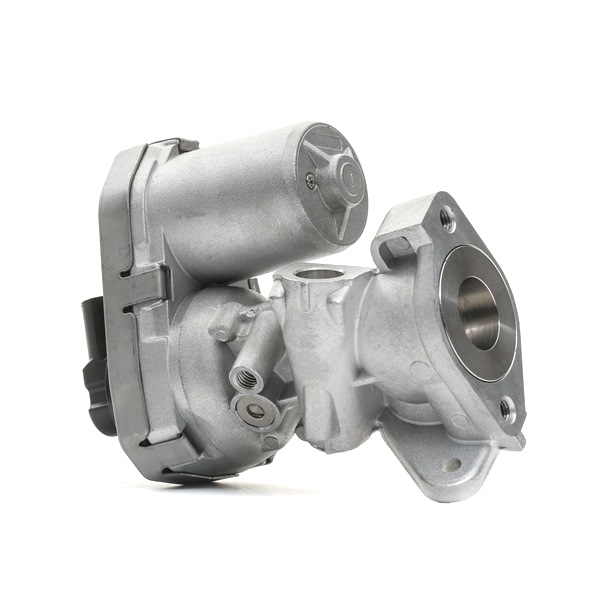 DELPHI EG10399-12B1: Vanne EGR