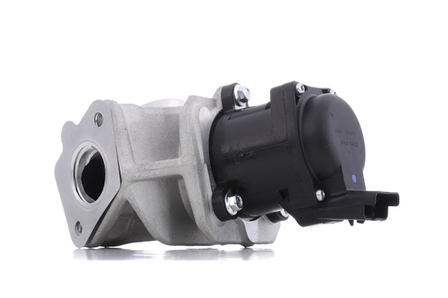 DELPHI EG10401-12B1: EGR klep