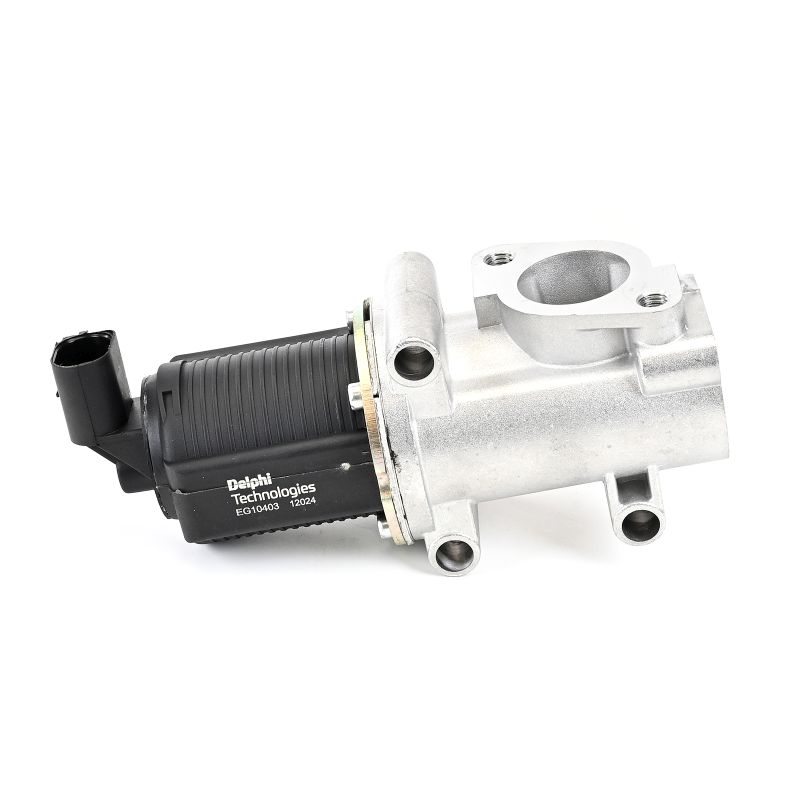 DELPHI EG10403-12B1: EGR-ventil