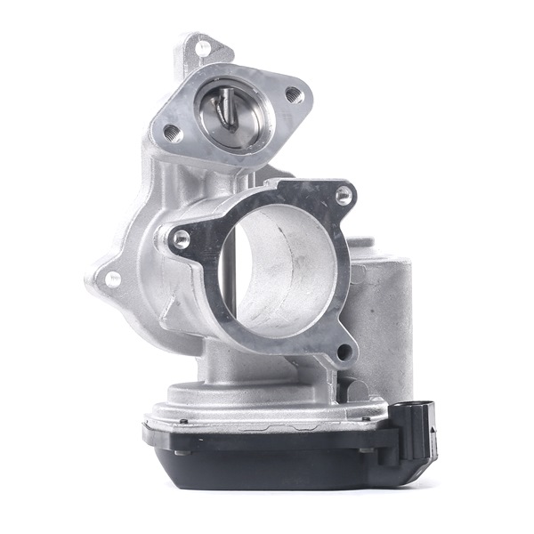 DELPHI EG10404-12B1: Válvula EGR