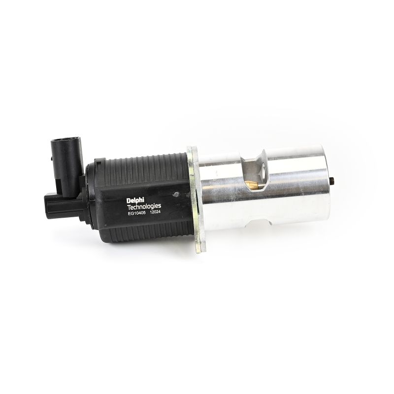 DELPHI EG10405-12B1: EGR klep