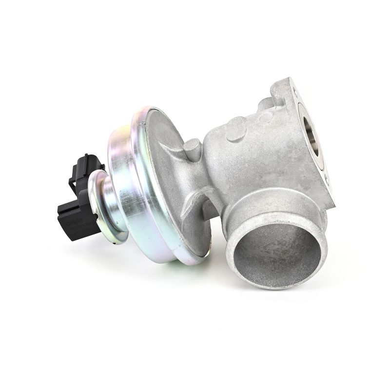 DELPHI EG10406-12B1: EGR-klapp