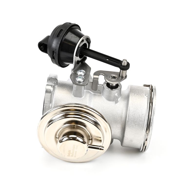 DELPHI EG10409-12B1: EGR-klapp