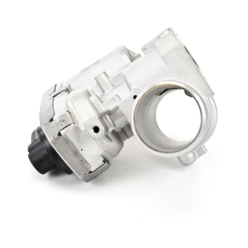 DELPHI EG10410-12B1: EGR klep
