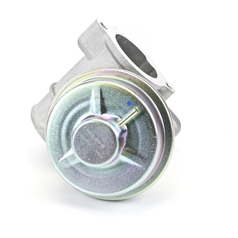 DELPHI EG10412-12B1: EGR klep Zonder AGR koeler