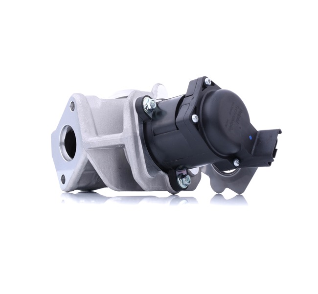 DELPHI EG10415-12B1: Βαλβίδα AGR