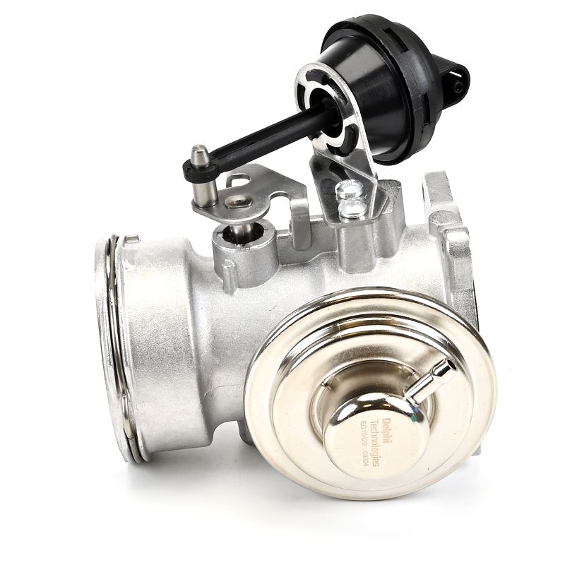 DELPHI EG10420-12B1: EGR klep