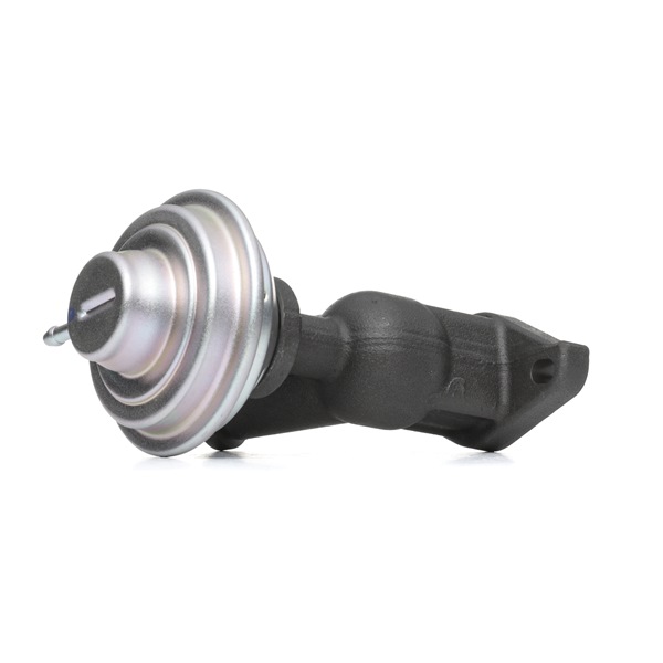DELPHI EG10423-12B1: EGR-klapp