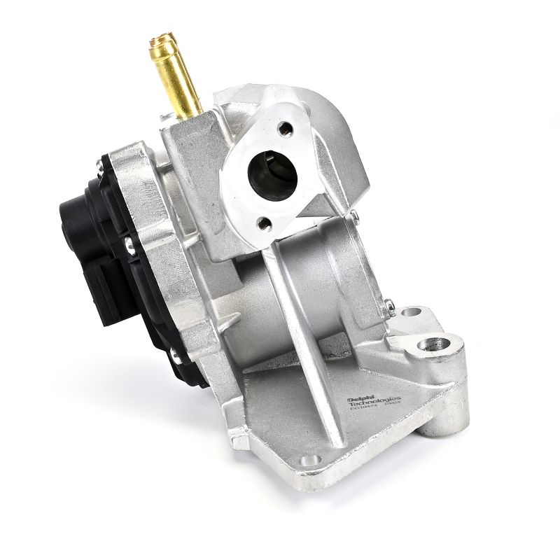 DELPHI EG10424-12B1: EGR klep