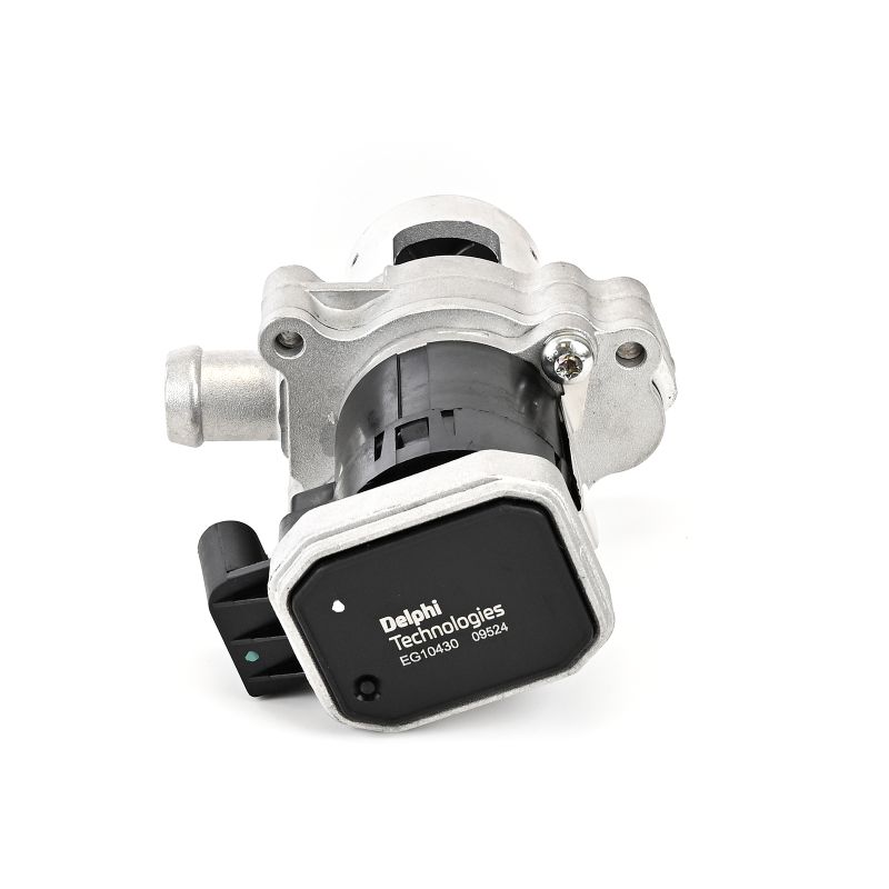 DELPHI EG10430-12B1: EGR klep