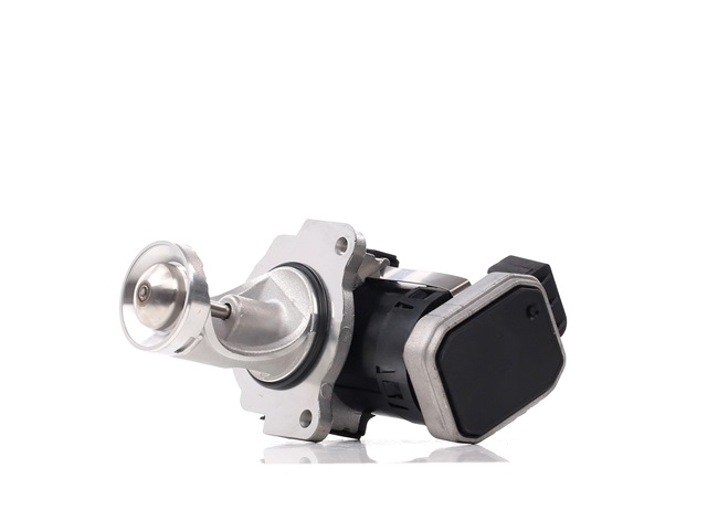 DELPHI EG10431-12B1: EGR klep