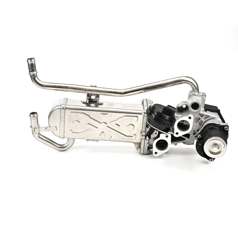 DELPHI EG10432-12B1: AGR - Ventil