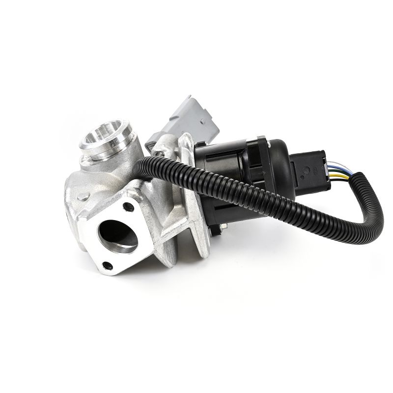 DELPHI EG10435-12B1: EGR klep