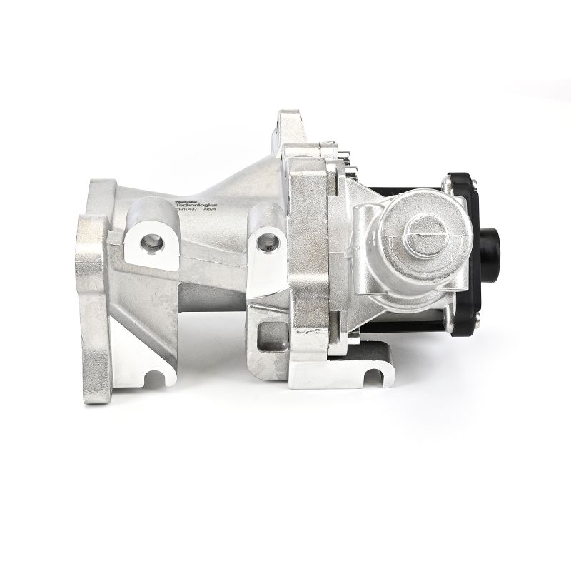 DELPHI EG10437-12B1 AGR-Ventil CITROЁN C5 II Break (RE_) 163 PS Diesel Kosten