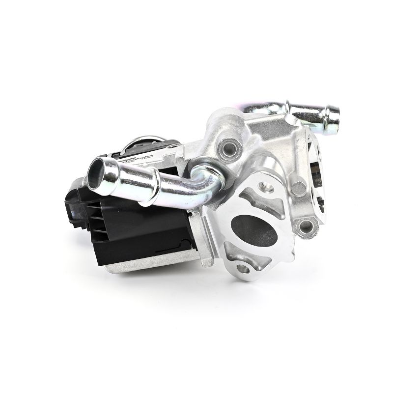 DELPHI EG10438-12B1: EGR-klapp