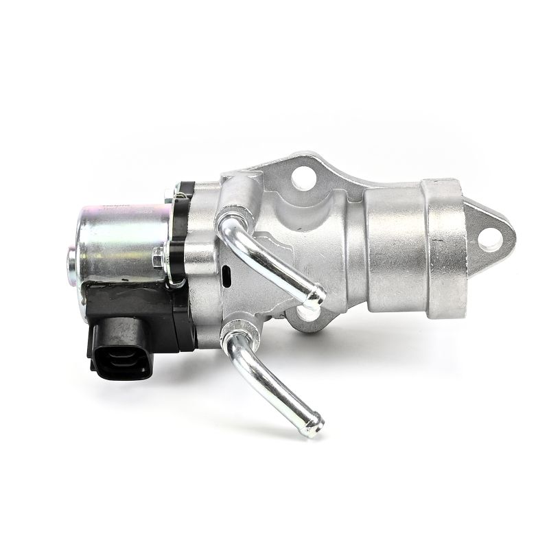 DELPHI EG10439-12B1: EGR-klapp