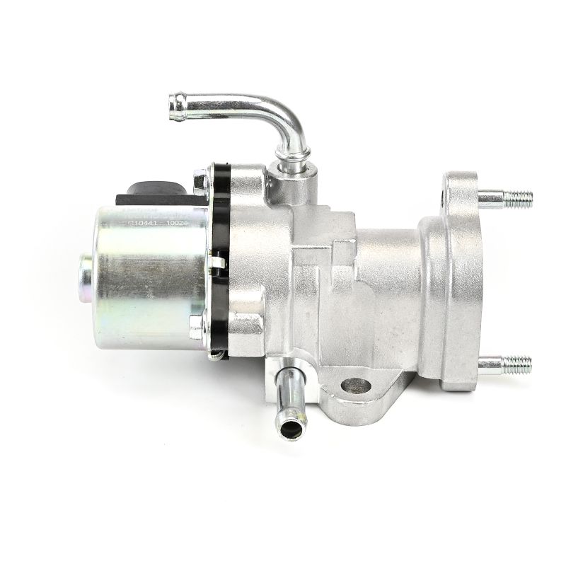 DELPHI EG10441-12B1: EGR klep
