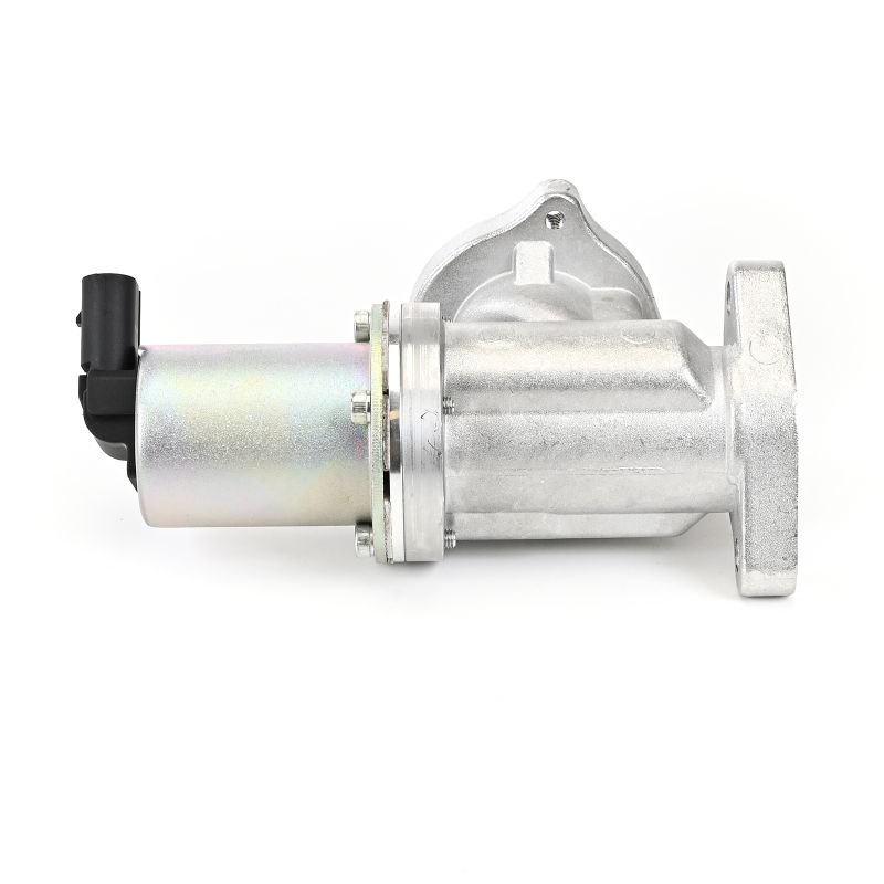 DELPHI EG10442-12B1: EGR klep