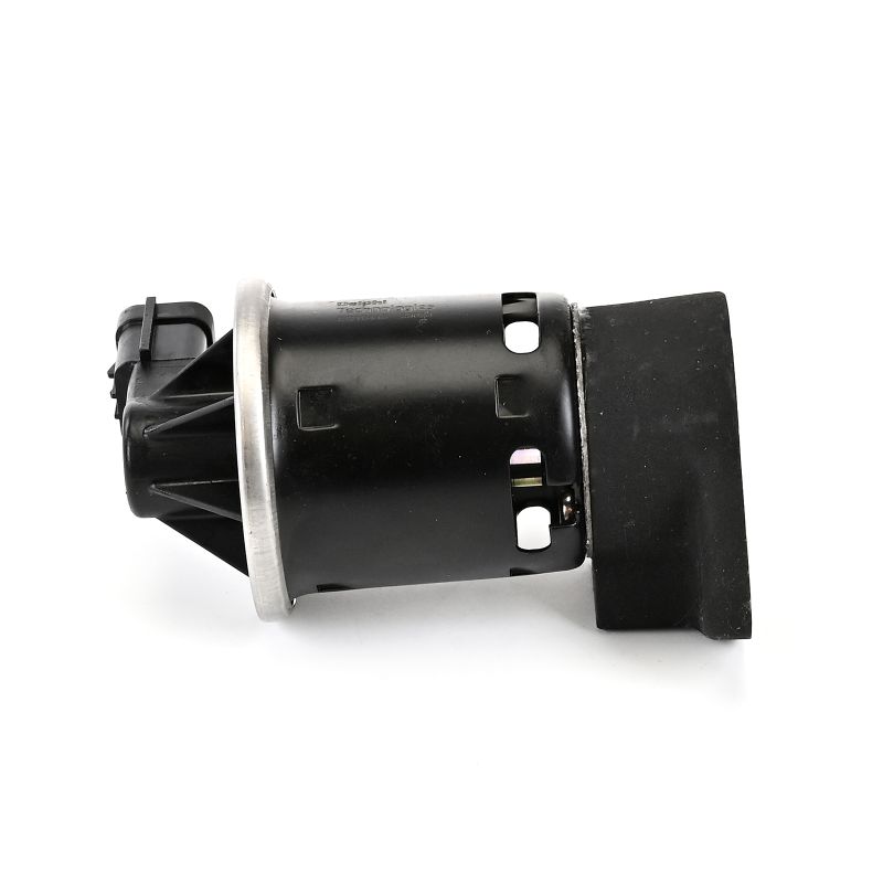 DELPHI EG10445-12B1: EGR klep