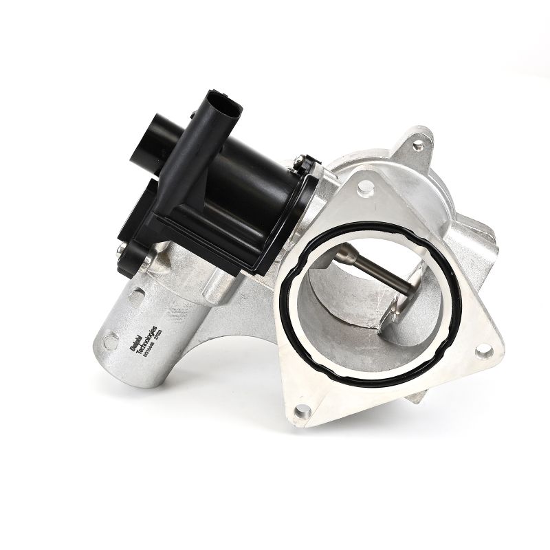 DELPHI EG10446-12B1: EGR klep