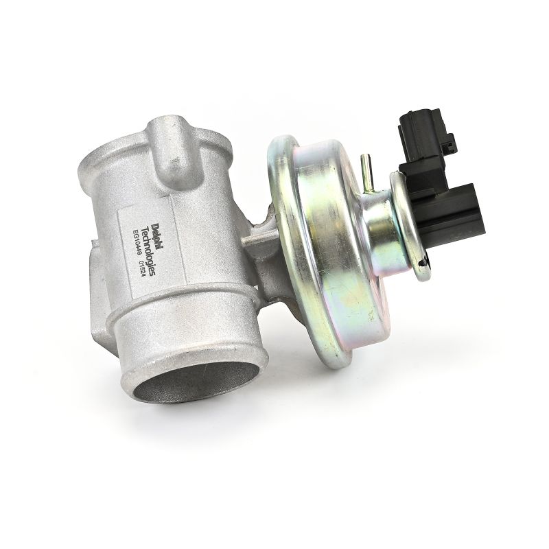 DELPHI EG10449-12B1: EGR-klapp