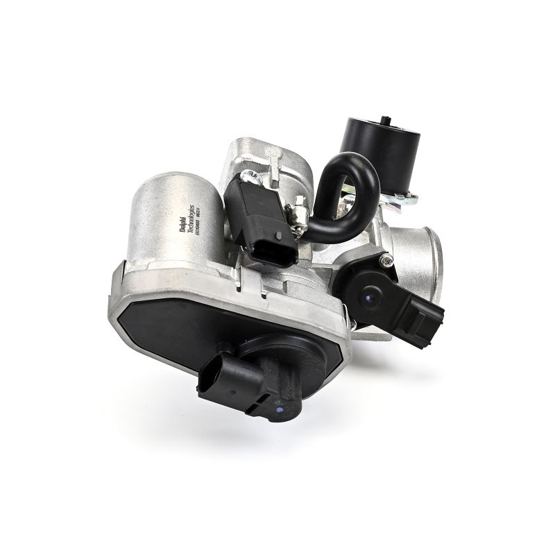 DELPHI EG10453-12B1: EGR-klapp