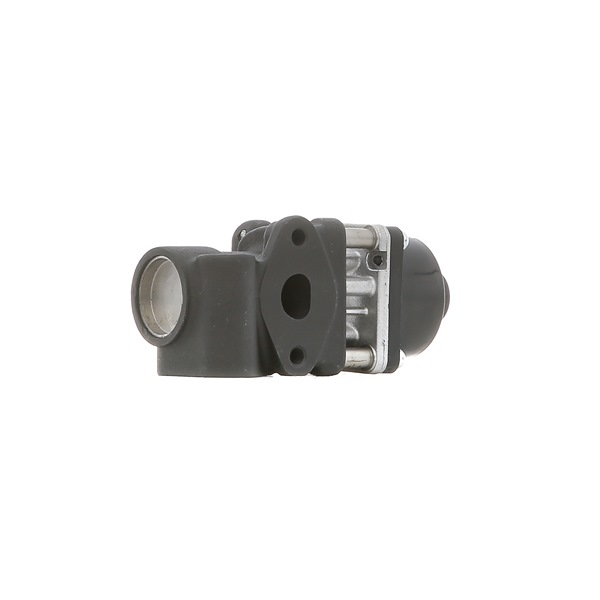 DELPHI EG10454-12B1: EGR klep