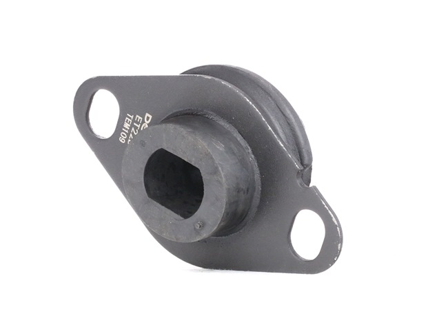 DELPHI TEM109 Motorsteunlager RENAULT CLIO 2 (BB0/1/2, CB0/1/2) 172 Pk Benzine kosten