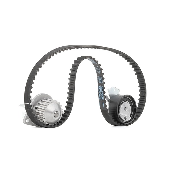 MAGNETI MARELLI 132011160016 Distributieriem set + waterpomp CITROЁN C3 II (SC_) 73 Pk Benzine kosten